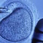 IVF Tunisia ftouh vitrifcation