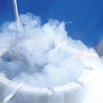 docteur ftouh fécondation in vitro